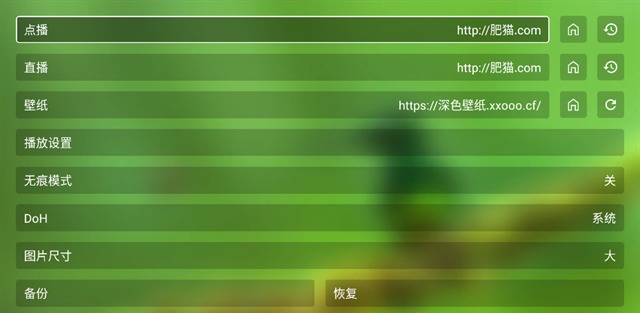 FongMi 影视TV 设置主菜单
